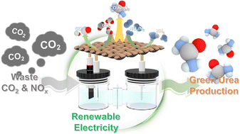 Graphical abstract: Electrochemical strategies for urea synthesis via C–N coupling of integrated carbon oxide–nitrogenous molecule reduction