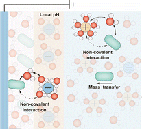 Graphical abstract: The ion effect on electrocatalytic oxidation reactions