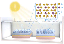 Graphical abstract: Nanowire morphology control in Sb metal-derived antimony selenide photocathodes for solar water splitting
