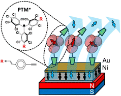 Graphical abstract: Interrogating the CISS effect in chiral and paramagnetic organic radicals: the impact of the molecular spin over the total spin polarization