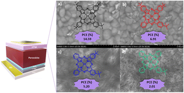 Graphical abstract: Dopant-free tert-butyl Zn(ii) phthalocyanines: the impact of substitution on their photophysical properties and their role in perovskite solar cells