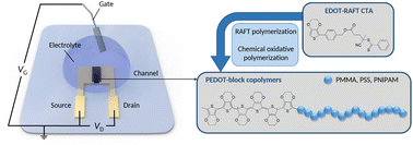 Graphical abstract: Synthesis of multifunctional PEDOT-block copolymers by combining controlled and chemical oxidative polymerization for bioelectronics