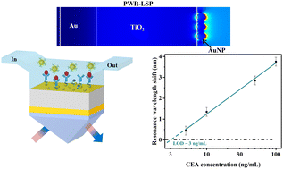 Graphical abstract: Highly sensitive biosensors with resonant coupling of plasmon-waveguide resonance to localized surface plasmons