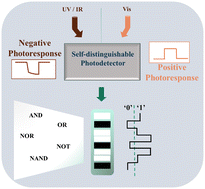 Graphical abstract: A self-powered bi-directional SnS2/SnSe heterostructure for an all-in-one optoelectronic logic device