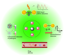 Graphical abstract: Target-induced nanoparticle assemblies: a comprehensive review of strategies for nucleic acid functionalization, biosensing, and drug delivery applications