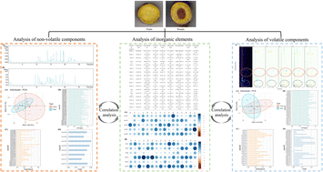 Graphical abstract: Characterization of non-volatile compounds, volatile compounds, and inorganic elements in different growth stages of Scutellariae Radix