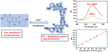 Graphical abstract: Harnessing zinc(ii) chelation for fluorescence determination of besifloxacin in ophthalmic and biological matrices