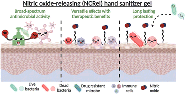 Graphical abstract: Enhancing hand hygiene compliance through the long-lasting antimicrobial effects of nitric oxide-releasing hand sanitizer gel