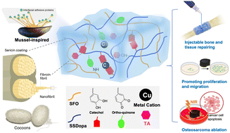 Graphical abstract: Theragenerative injectable bone-adhesive hydrogels for combined photothermal osteosarcoma therapy and bone repair