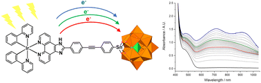 Graphical abstract: Covalent POM–Ir hybrid assemblies: tuning redox properties for light-driven multiple charge accumulation