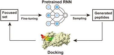 Graphical abstract: De novo generation of peptide binders with desired properties by deep generative models reinforced through enrichment of focused sets for iterative fine-tuning