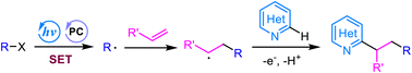 Graphical abstract: Recent advances in photochemical multicomponent Minisci reactions