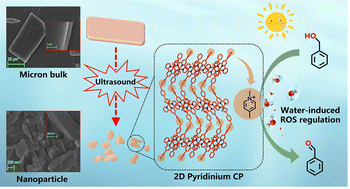 Graphical abstract: Controlled ROS generation in pyridinium-functionalized nanocatalysts for selective photooxidation
