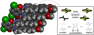 Graphical abstract: Heating enables solid-state motion and improves the yield of a [2 + 2] cycloaddition reaction within an organic cocrystal