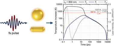 Graphical abstract: Probing ultrafast heat transfer mechanisms in plasmonic gold nanostructures: FEM analysis of core–shell configurations under femtosecond laser irradiation