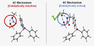 Graphical abstract: The catalytic role of triphenyl bismuth in curing reactions: a theoretical study