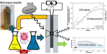 Graphical abstract: Operando X-ray absorption spectroscopy of phosphomolybdic acid redox mediators for electrochemical conversion of biomass to green hydrogen