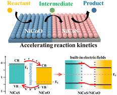 Graphical abstract: Ir-modulated NiCoS/NiCoO p–n heterojunction nanocages with intensified built-in electric field for the accelerated oxygen evolution reaction