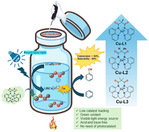 Graphical abstract: Photo-mediated aromatic C–H activation by Cu(ii)-amido-quinoline complexes