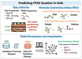 Graphical abstract: Molecular connectivity indices and soil properties to predict the sorption of per- and poly-fluoroalkyl substances