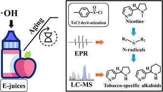 Graphical abstract: Tobacco-specific alkaloid (TSA) formation in aged e-cigarette juices: mechanistic insights into hydroxyl radical-initiated nicotine oxidation