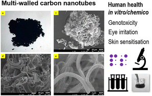 Graphical abstract: Experimental approaches to data generation for REACH compliance of multi-walled carbon nanotubes: human health in vitro/in chemico