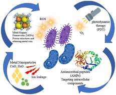 Graphical abstract: Beyond antibiotics: novel solutions to address antibacterial resistance