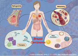 Graphical abstract: Translational paradigm of advanced nanoscale strategies for triple negative breast cancer (TNBC): mechanistic insights, metastatic pathways, and emerging theragnosis