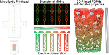 Graphical abstract: Microfluidic-mixer assisted 3D printing of functionally graded multimaterial hydrogels for engineering complex tissue interfaces