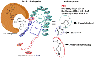 Graphical abstract: Developing pyrazole–oxadiazole conjugates as potent anti-tubercular agents: an in silico and in vitro approach