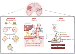 Graphical abstract: A switch-on chemo-photothermal nanotherapy impairs glioblastoma
