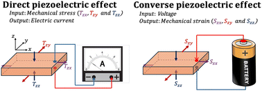 Graphical abstract: From solid to liquid piezoelectric materials