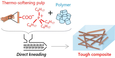 Graphical abstract: Direct kneading of thermo-softening pulp towards producing sustainable tough composites of wood nanocellulose and polycaprolactone