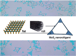 Graphical abstract: Unveiling the giant polarisation ratio of chiral photoluminescence in MoS2 nanorolligami fabricated using a centre-to-edge rolling mechanism