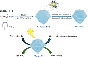 Graphical abstract: Construction of Fe3O4/ZnO heterostructure photocatalysts derived from Fe-doped ZIF-8 for enhanced photocatalytic degradation of tetracycline and hydrogen peroxide production