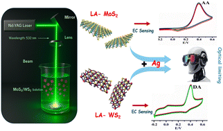 Graphical abstract: Laser driven exfoliation and in situ engineering of MoS2/WS2–Ag nanocomposites for high-performance electrochemical sensing and photonic applications