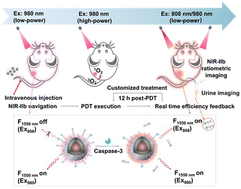 Graphical abstract: Programming a multiplex lanthanide nanoparticle for customized cancer treatment with real-time efficiency feedback
