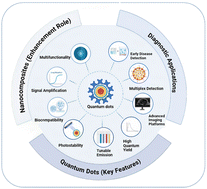 Graphical abstract: Quantum dot-infused nanocomposites: revolutionizing diagnostic sensitivity
