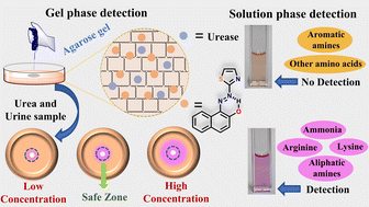 Graphical abstract: An azothiazole probe as a multianalyte colorimetric chemosensor for urea and biologically significant amines