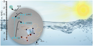 Graphical abstract: Synthesis and photocatalytic evaluation of first nickel dioxo-haloselenate complexes immobilized on mesoporous TiO2 for enhanced solar-driven hydrogen production