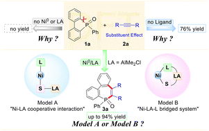 Graphical abstract: Mechanistic insights into Ni–Al co-catalyzed alkyne carbophosphination enabled by C–P bond activation