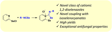 Graphical abstract: A novel class of 1,2,4-diselenazoles obtained via cationic polar cycloaddition between ambiphilic 2-pyridylselenyl reagents and isoselenocyanates exhibiting high antifungal activity