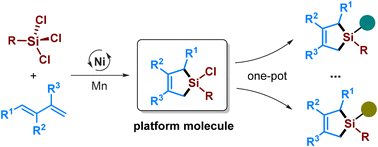 Graphical abstract: Nickel-catalyzed [4 + 1] sila-cycloaddition: a divergent synthesis of silacarbocycles from trichlorosilanes