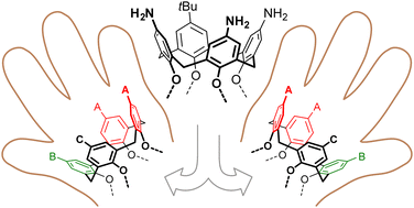 Graphical abstract: Accessing inherently chiral multifunctional structures by desymmetrization of a wide-rim calix[4]arene triamine