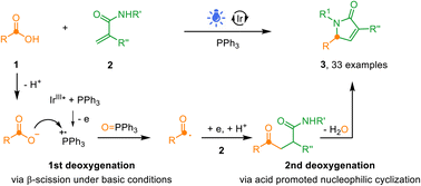 Graphical abstract: Photocatalytic 3D skeletal editing of carboxylic acids via [4 + 1] cyclization for streamlined synthesis of unsaturated γ-lactams