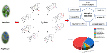 Graphical abstract: Ten years of advances in the chemistry and bioactivities of natural C19-diterpenoid alkaloids
