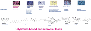 Graphical abstract: Diverse chemotypes of polyketides as promising antimicrobial agents: latest progress