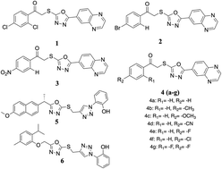 Graphical abstract: A two-decade overview of oxadiazole derivatives as promising anticancer agents