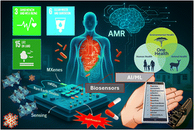 Graphical abstract: Gatifloxacin detection in the nanoscale: a review exploring current biosensing technologies and future opportunities