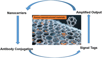 Graphical abstract: Multidimensional signal amplification architectures in electrochemical immunosensing integrate porous nanomaterials, biocatalysis, and nucleic acid circuits to achieve attomolar detection